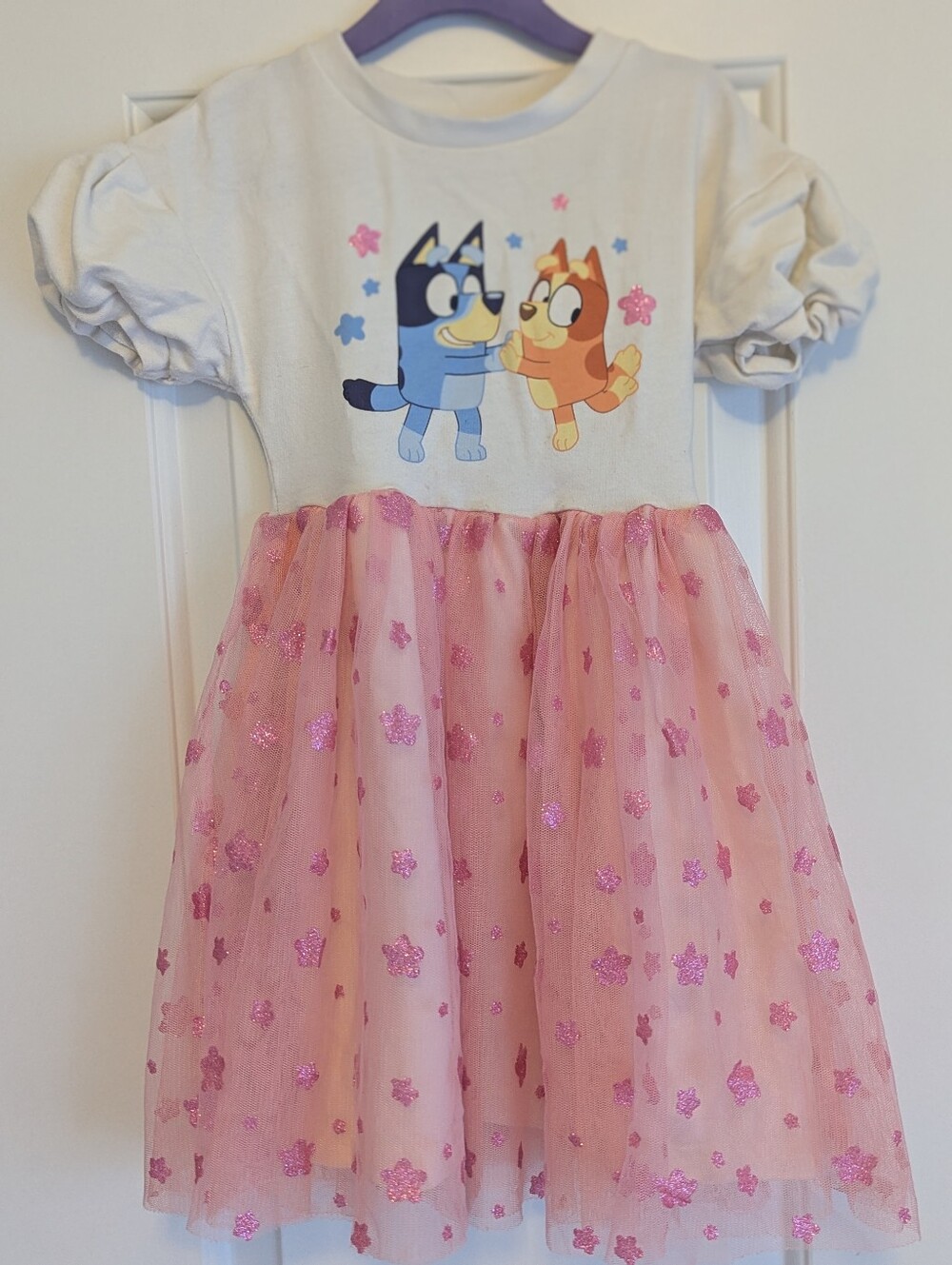 Bluey Tulle Dress - 5T
